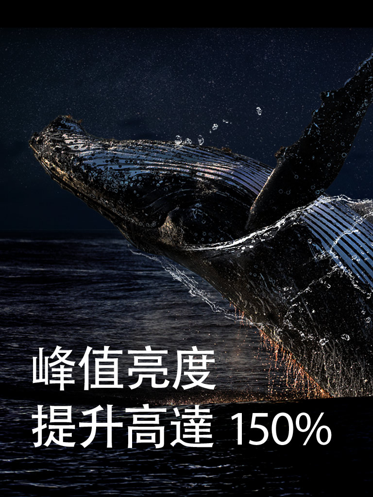 一條鯨魚在黑色背景下從海中躍出。「亮度提升高達 150%」在鯨魚上方出現，並變得更亮。