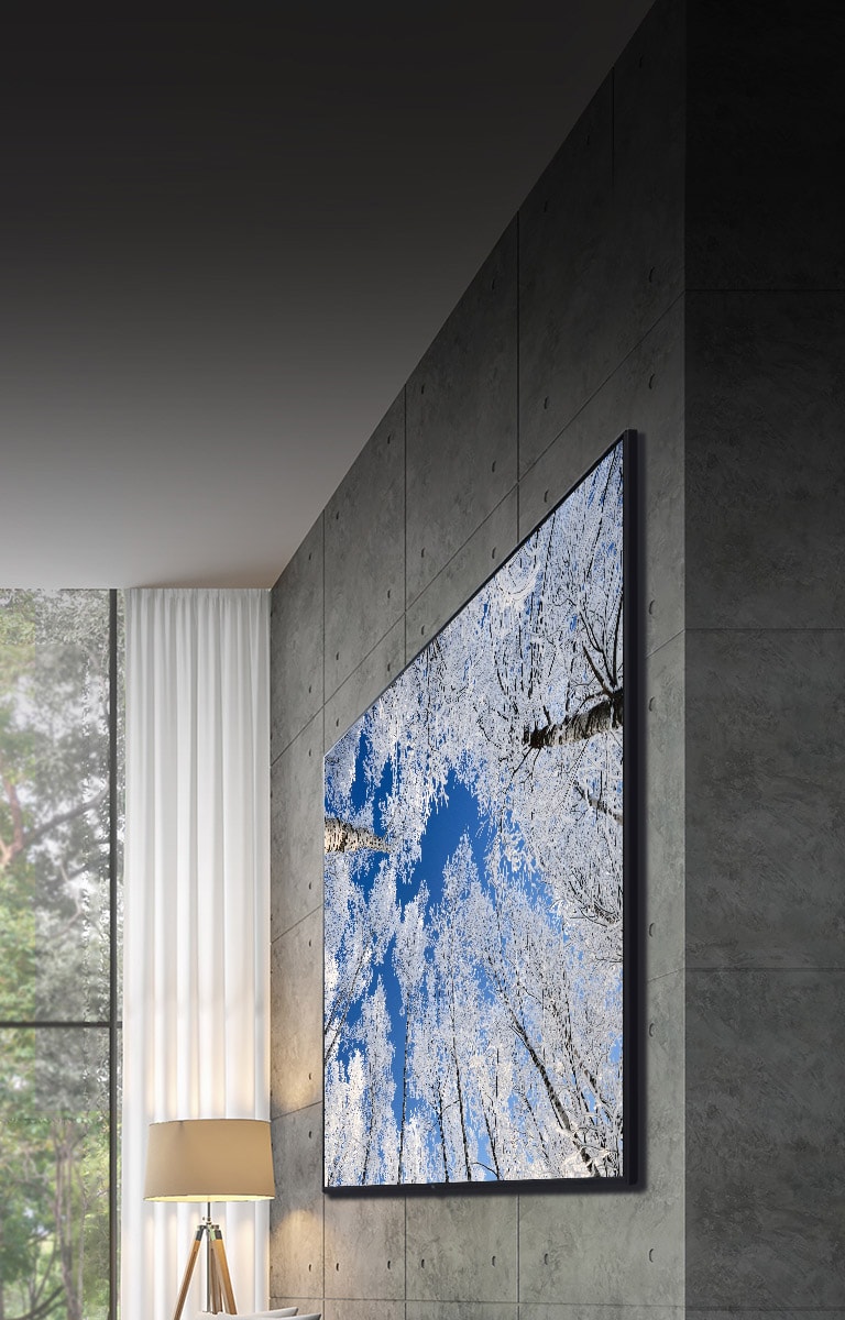 相機從電視頂部的特寫鏡頭向下移動到電視正面的特寫鏡頭。電視螢幕顯示綠色極光。相機縮小以顯示非常寬廣的客廳區域。客廳整體是灰色,窗外是一片森林。