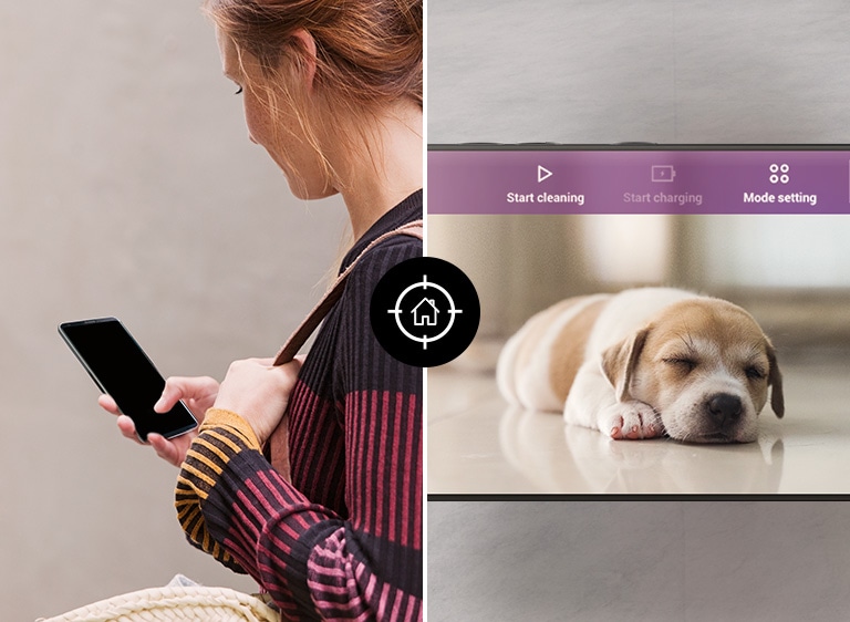 Three icons at the top indicate a carousel of images. The first, labelled HomeView, is red. There are two images: the left image shows a woman looking down at her phone. The second image is a view of the phone screen that shows a sleeping puppy. An icon at the center between the two images has a circle and a house.