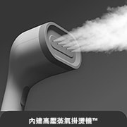 USP 3 (Built-in HandySteamer)