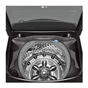 LG TurboWash3D™ 直立式直驅變頻洗衣機｜17公斤 (曜石黑), WT-D170MSG