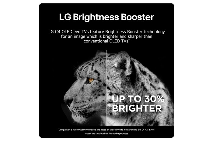 LG Brightness Booster