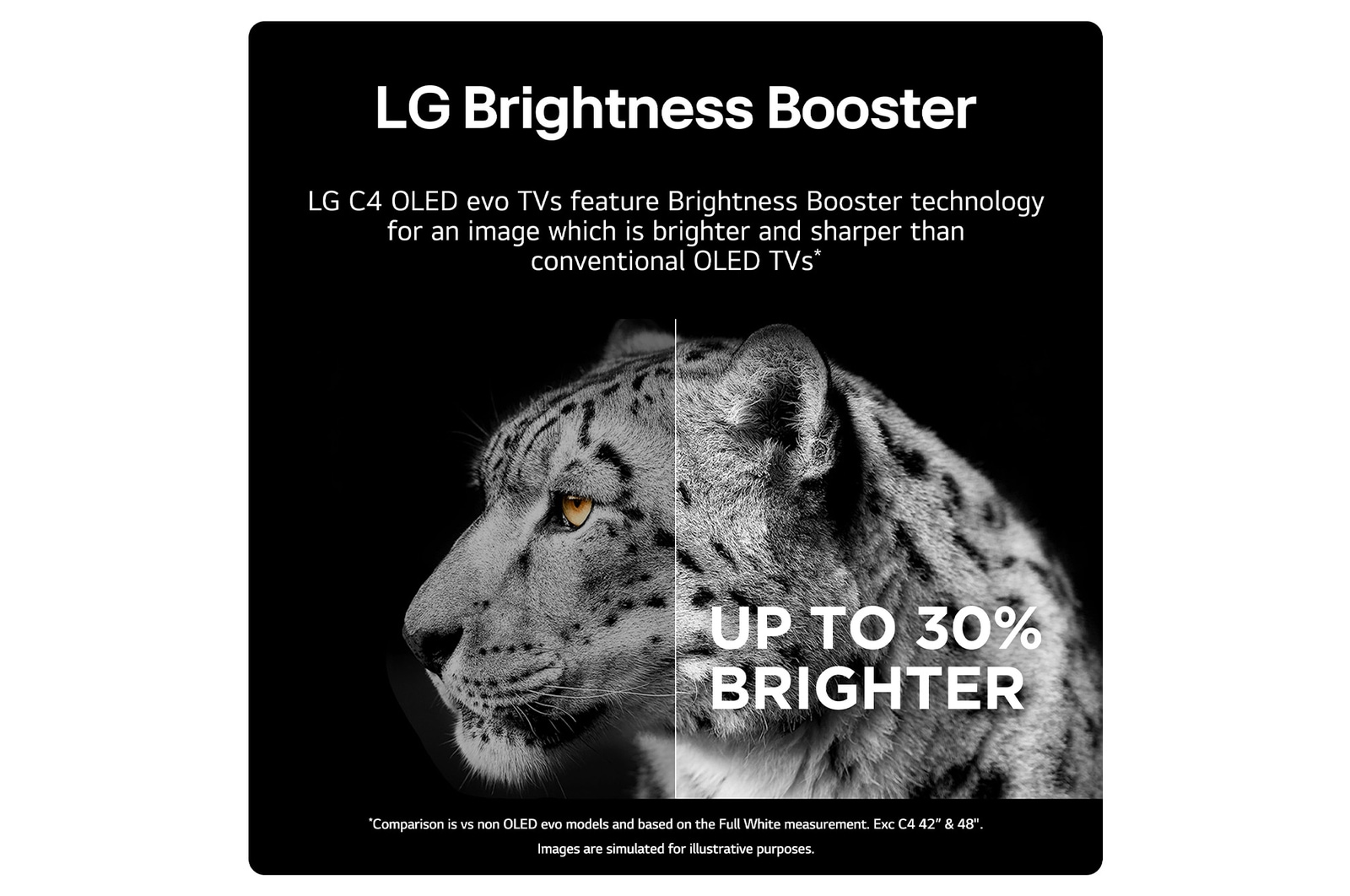 LG Brightness Booster MAX