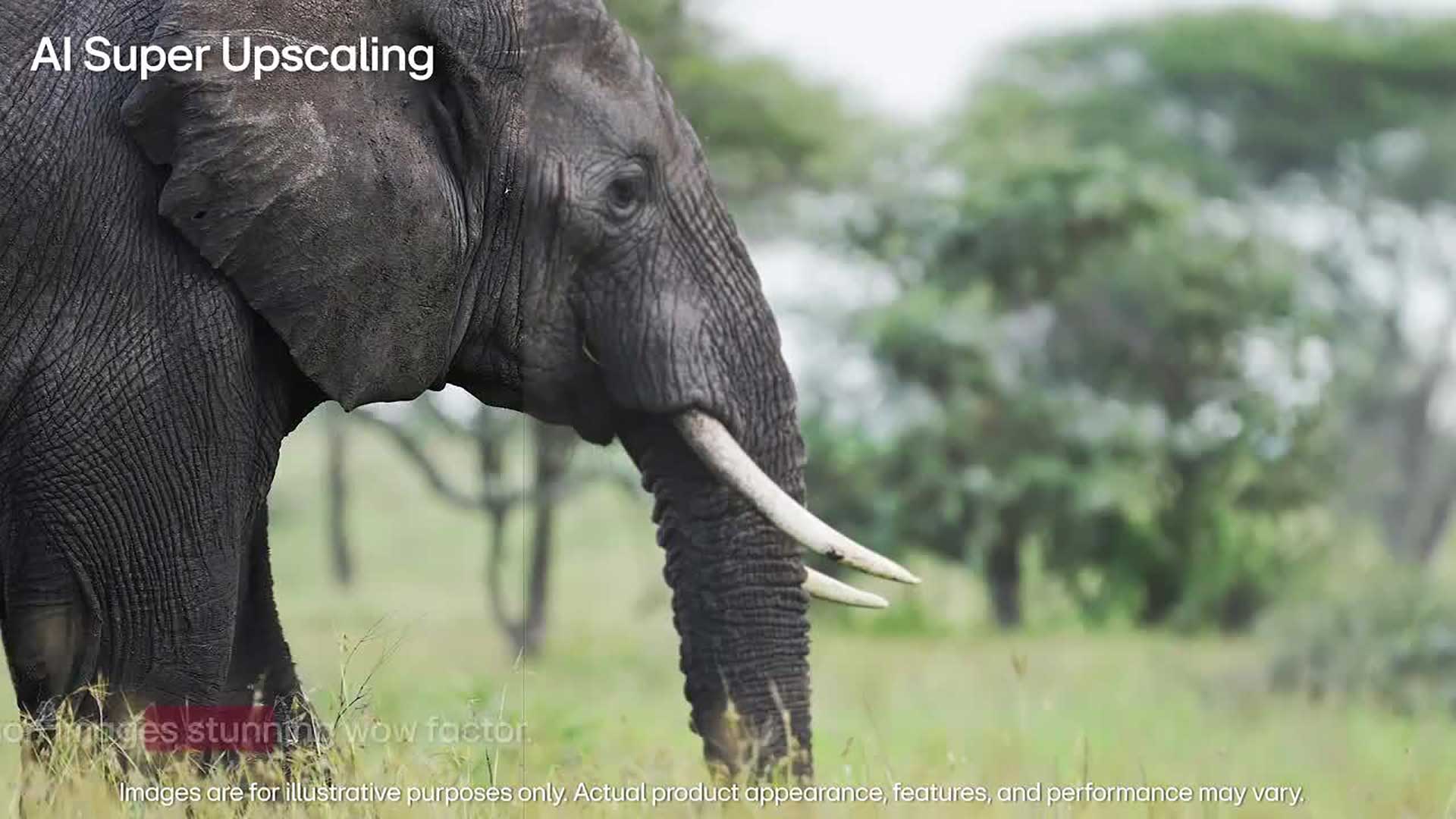 QNED9M USP introductory video.