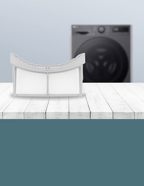 This is a picture of the LG dryer filter