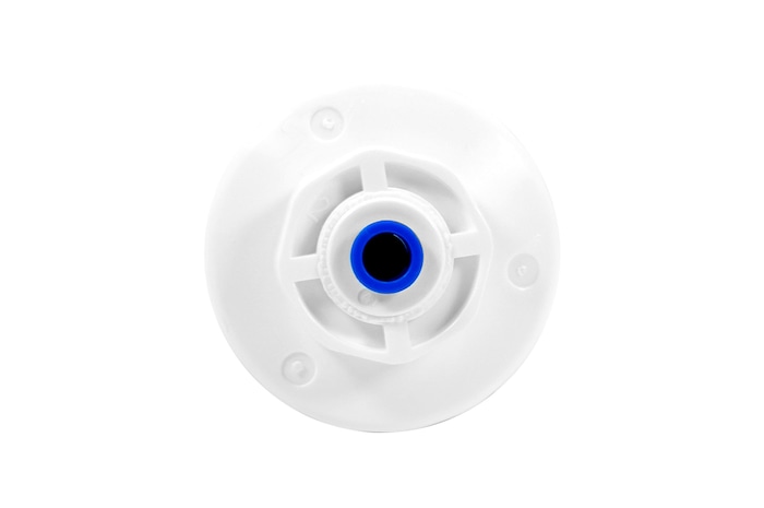 bottom view