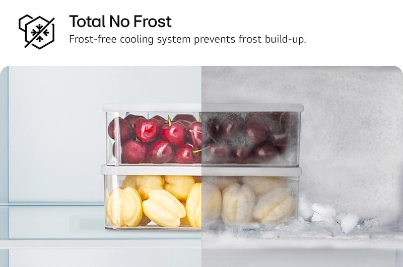 total no frost