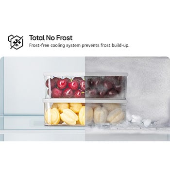 total no frost