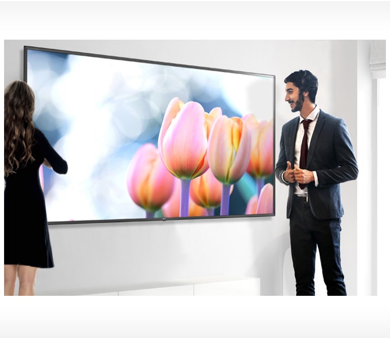 True Color, Immersive View