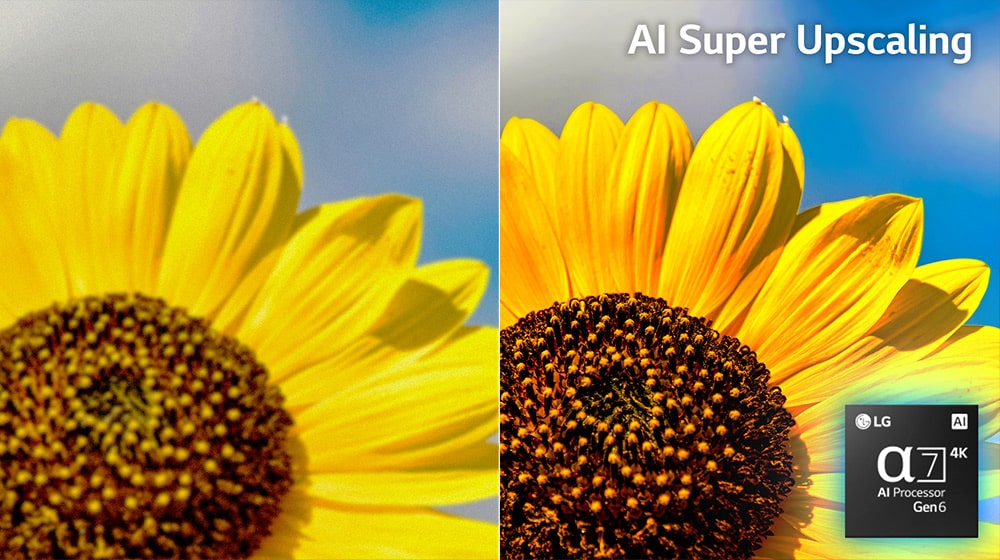 Изображение подсолнуха отображается через левый и правый разделенный экран. Правое изображение с активированным AI Picture Pro выглядит ярче и четче.