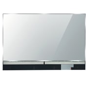 LG Transparent OLED Touch Signage, 55EW5TK-A