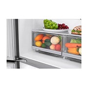 LG Multi-Door Fridge Freezer | 530L | GMB844PZFG | Shiny Steel, GMB844PZFG