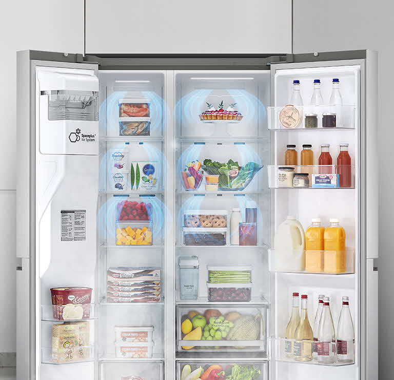 LG GS5163AVLZ American-Style Fridge Freezer - ET Speaks From Home