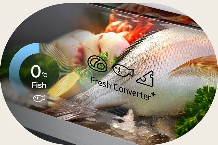 LG bottom freezer (GBBS726CEV) graphic with circular chart showing 0°C on left and fresh fish stored in Fresh Converter box on right