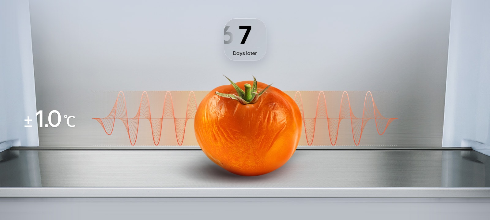 LG fridge freezer (GBBS726CPY) graphic showing wilted tomato after 7 days with red fluctuation graph and text ±1.0°C