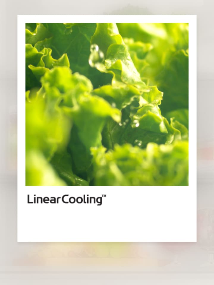 Linear cooling graph with fresh vegetables nearby, showing temperature fluctuations kept within ±0.5℃ for food freshness.	