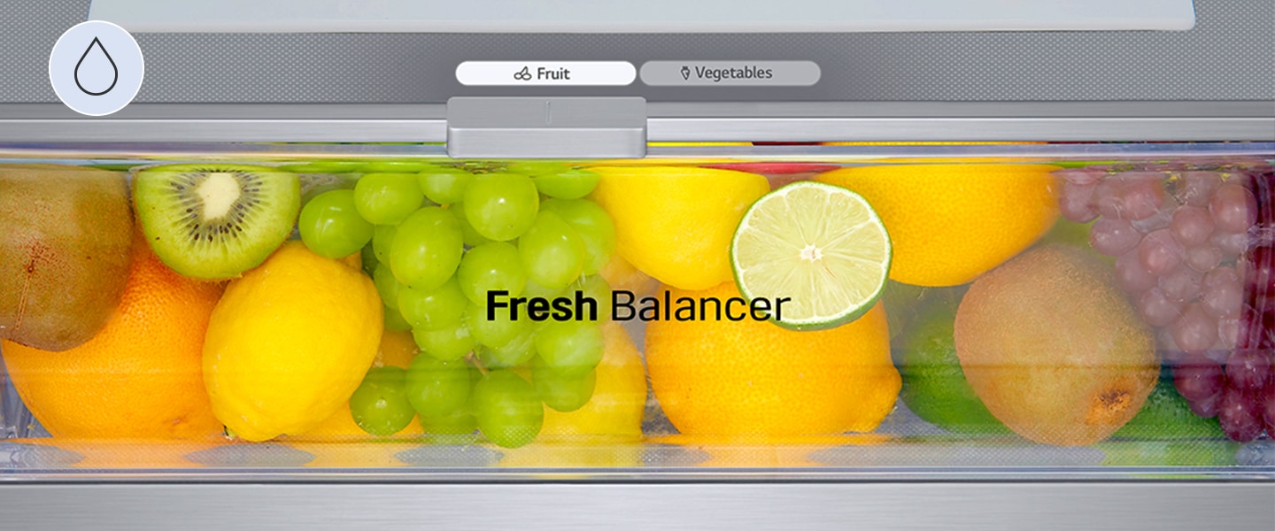 Close-up of fruits-filled fresh balancer, set at proper humidity for fruits among fruits and vegetables options.