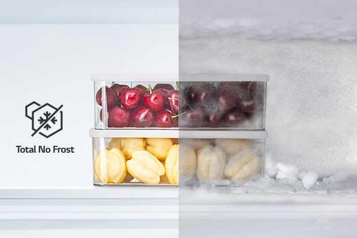 Fruits in plastic boxes, half is frozen, the other half is not.