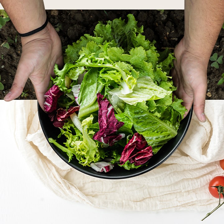a person holding a bowl of freshly picked veges.
