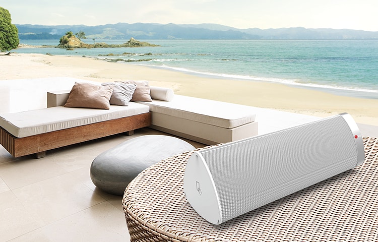 LG NP6630 Rechargeable Portable Speakers offering wireless audio streaming via Airplay and Bluetooth™, NP6630
