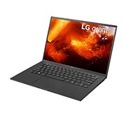 LG gram Ultra-Lightweight with 14” 16:10 IPS Display and 11th Gen Intel® Core™ i5 Evo™ platform and Iris® Xe Graphics, 14Z90P-K.AA53A1