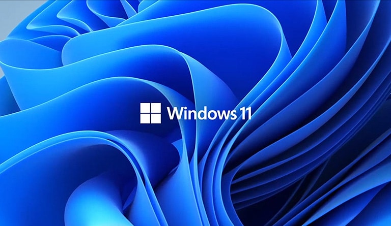 It shows the Windows11 logo and background image.