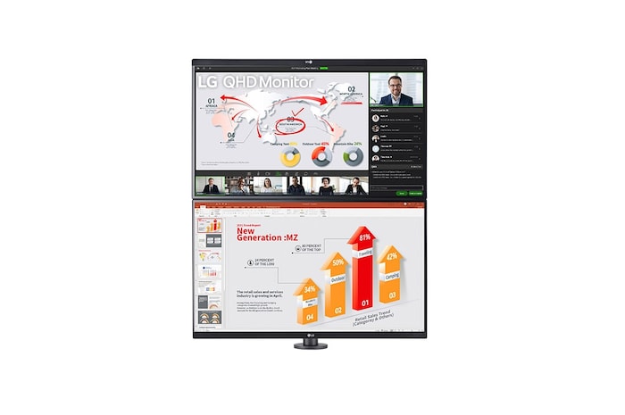 LG 27" LG QHD Ergo Dual Monitor, IPS Display, Black, 27QP88D-BS