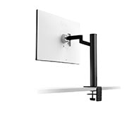 LG 31.5" UltraFine™ UHD 4K Ergo IPS Monitor with USB Type-C™, 32UN88A-W