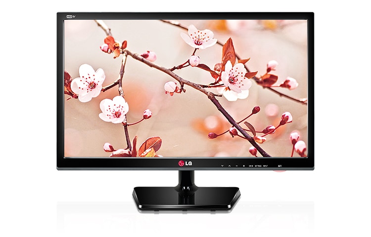 LG Personal TV MT35S, 24MT35S