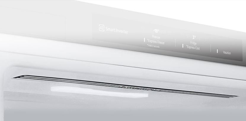 Close-up of soft LED lighting, effectively distributing light throughout the refrigerator and making it easy on the eyes.