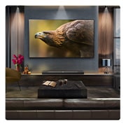 Lifestyle image showing the US80TR with LG TV in a luxury living room setting