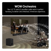 LG Soundbar US80TR Feature card - LG TV and LG Soundbar audio work in perfact harmony to deliver and enhanced immersive experience