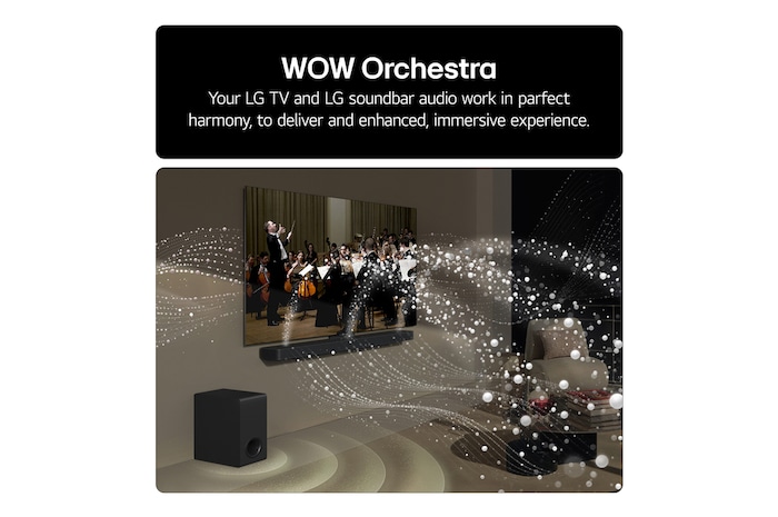 LG Soundbar US80TR Feature card - LG TV and LG Soundbar audio work in perfact harmony to deliver and enhanced immersive experience