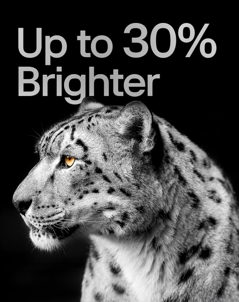 The phrase "Up to 30% brighter" accompanies a side-profile view of a white leopard, showcasing LG's Brightness Booster feature in action.