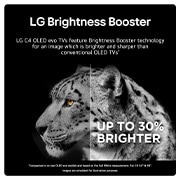 LG Brightness Booster