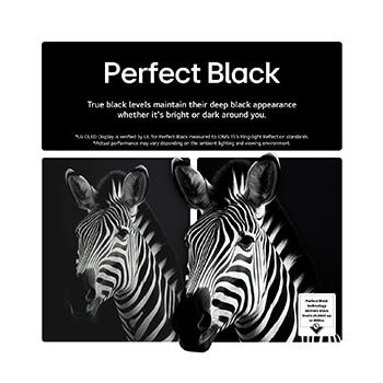 Living room space with a wall-mounted LG OLED TV. On the TV is a mountain range against a dark evening sky filled with stars. This scene is split in half to show how Perfect Black delivers true black levels whether it's bright or dark around you. One side of the scene shows a duller, grayer version of the landscape labeled, Matte display. On the other side is a more pleasing picture with a larger