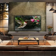 LG 48 inch LG OLED AI B4 4K Smart TV 2024, OLED48B46LA