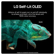 LG 65 inch LG OLED AI B4 4K Smart TV 2024, OLED65B46LA