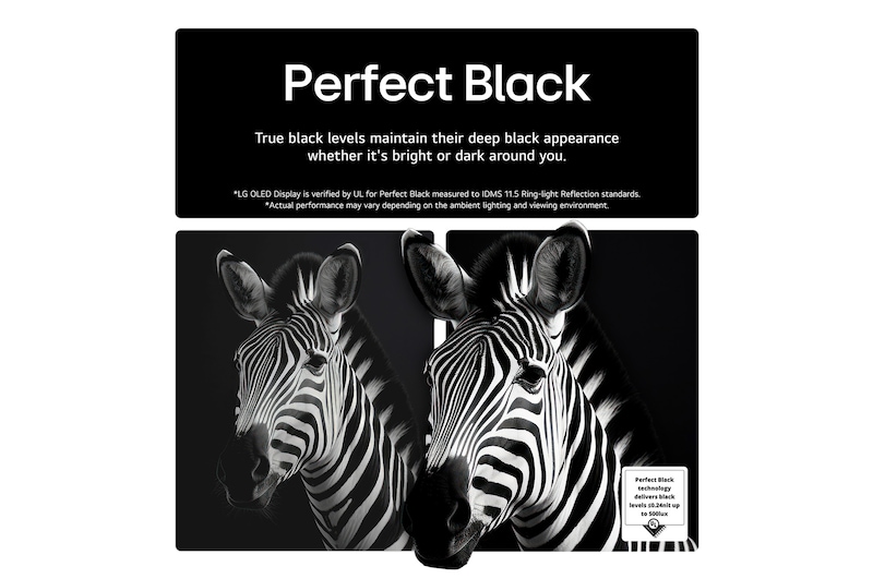 Living room space with a wall-mounted LG OLED TV. On the TV is a mountain range against a dark evening sky filled with stars. This scene is split in half to show how Perfect Black delivers true black levels whether it's bright or dark around you. One side of the scene shows a duller, grayer version of the landscape labeled, Matte display. On the other side is a more pleasing picture with a larger