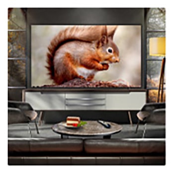 Leopard in the forest in vivid color and detail. The leopard has a grid and a light glowing behind it, indicating how LG AI Picture Pro made impressive visual enhancements to the scene's resolution, brightness, depth, and clarity.