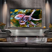 LG 75 inch LG QNED86 AI 4K Smart TV 2024, 75QNED86T6A