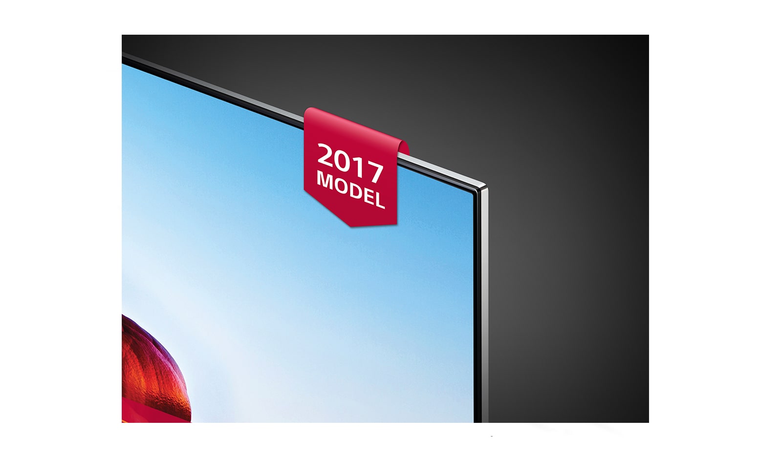 LG 55" LG NanoCell TV, 55SJ850V