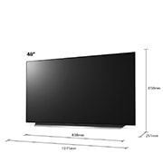 LG CX 48 inch 4K Smart OLED TV, OLED48CX5LC