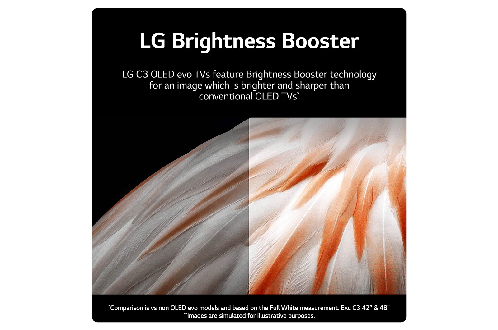 LG OLED evo C3 55 inch 4K Smart TV 2023, OLED55C36LC