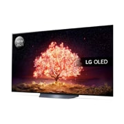 LG OLED B1 65" 4K Smart TV, OLED65B16LA