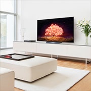 LG OLED B1 65" 4K Smart TV, OLED65B16LA