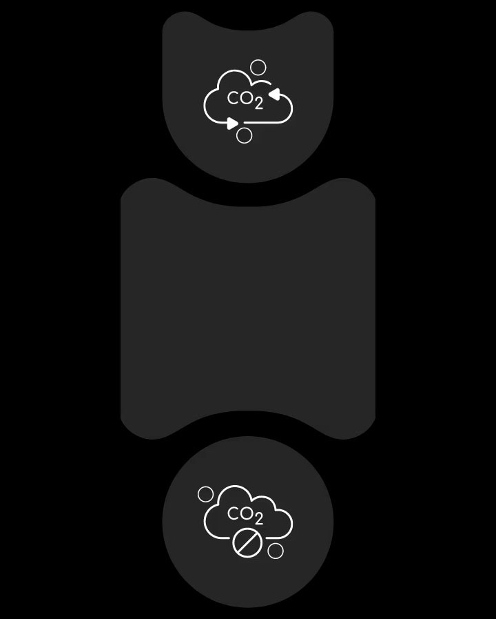 Carbon neutrality explained