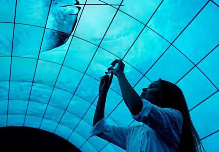 A photo of capturing a woman mesmerised by lg oled tunnel at berlin ifa 2017.