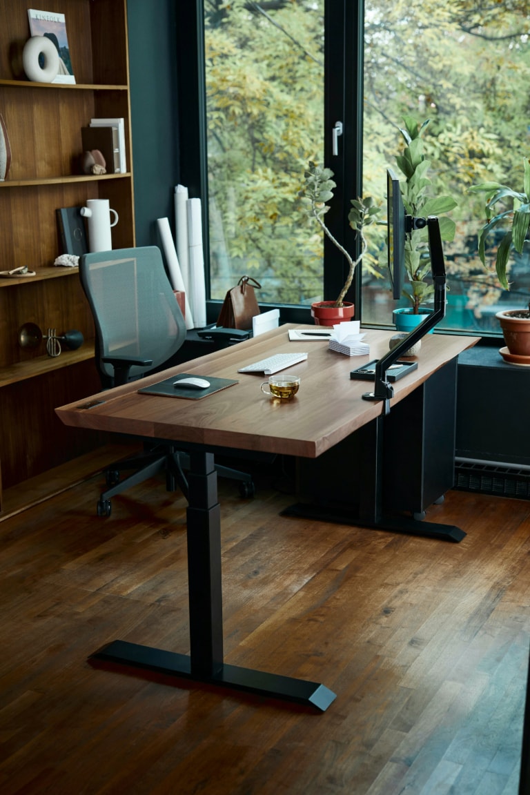 Home office setup featuring essential tools such as ergonomic furniture and workspace accessories, complemented by high-quality monitors and displays.