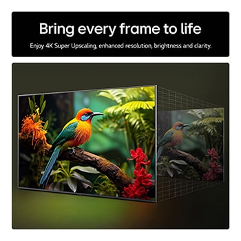 Bring every frame to life